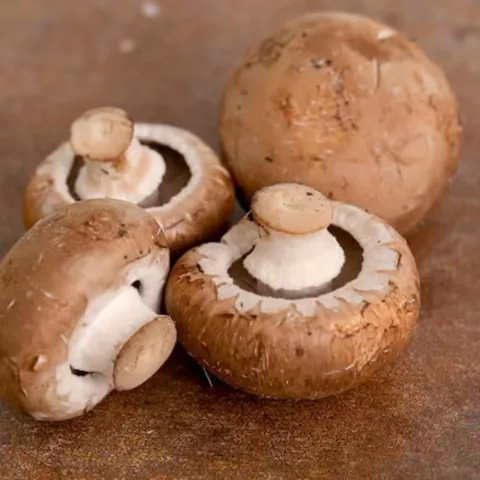 Mushroom Brown "Saudi" 250 gm