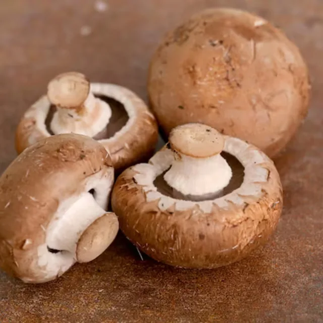 Mushroom Brown "Saudi" 250 gm