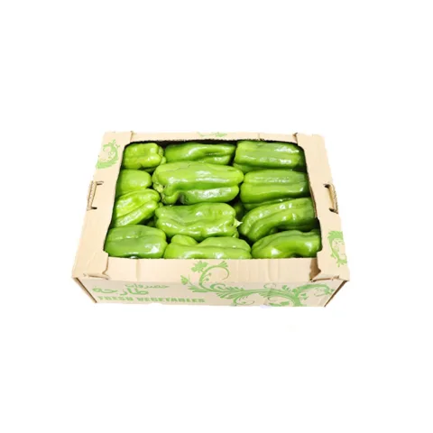 Capsicum Green Box 2.5 kg