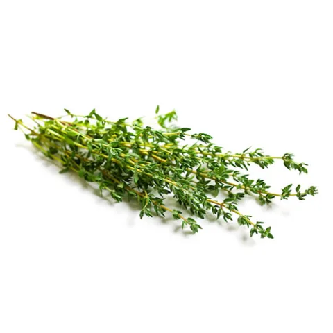 Thyme Holland 100 gm